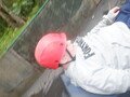 DSCF4178.JPG