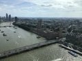 IMG_4792.jpeg