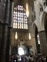 IMG_4727.jpeg