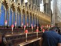 IMG_4734.jpeg