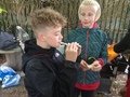 IMG_5226.jpeg