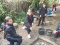 IMG_5225.jpeg
