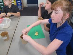 IMG_2650 - Copy.JPG