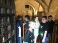 IMG_0039.jpeg