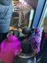 IMG_0491.jpeg