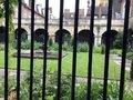 IMG_0967.jpeg