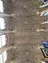 IMG_0951.jpeg
