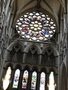IMG_0950.jpeg