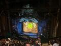 IMG-20250626-WA0014.jpg