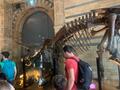 IMG-20250627-WA0043.jpg