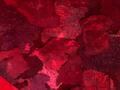 IMG-20250627-WA0049.jpg