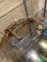IMG-20250627-WA0032.jpg