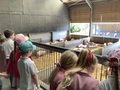 IMG_7782.JPEG