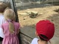 IMG_7795.JPEG