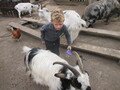IMG_3185.JPG