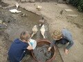 IMG_3191.JPG