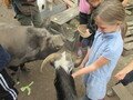 IMG_3210.JPG