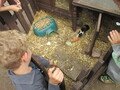 IMG_3214.JPG