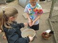 IMG_3217.JPG