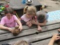 IMG_3235.JPG
