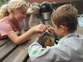 IMG_3237.JPG