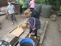 IMG_3247.JPG