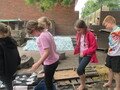 IMG_3258.JPG