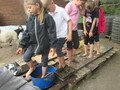IMG_3267.JPG