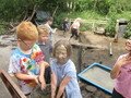 IMG_3281.JPG