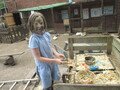 IMG_3293.JPG