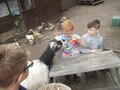 IMG_3303.JPG