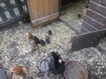 IMG_3315.JPG