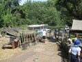 IMG_3319.JPG