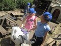 IMG_3337.JPG