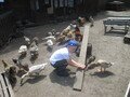 IMG_3339.JPG