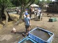 IMG_3341.JPG