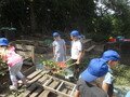 IMG_3347.JPG