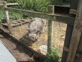 IMG_3352.JPG