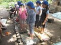 IMG_3363.JPG