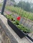 thumbnail_IMG_2275.jpg