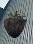 thumbnail_IMG_2276.jpg