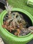 thumbnail_IMG_2279.jpg
