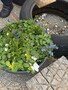 thumbnail_IMG_2280.jpg