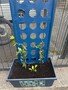thumbnail_IMG_2287.jpg