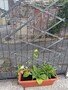 thumbnail_IMG_2289.jpg