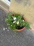 thumbnail_IMG_2333.jpg