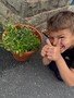 thumbnail_IMG_2337.jpg