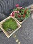 thumbnail_IMG_2350.jpg