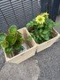 thumbnail_IMG_2351.jpg