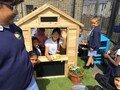 IMG_2194[1].jpeg